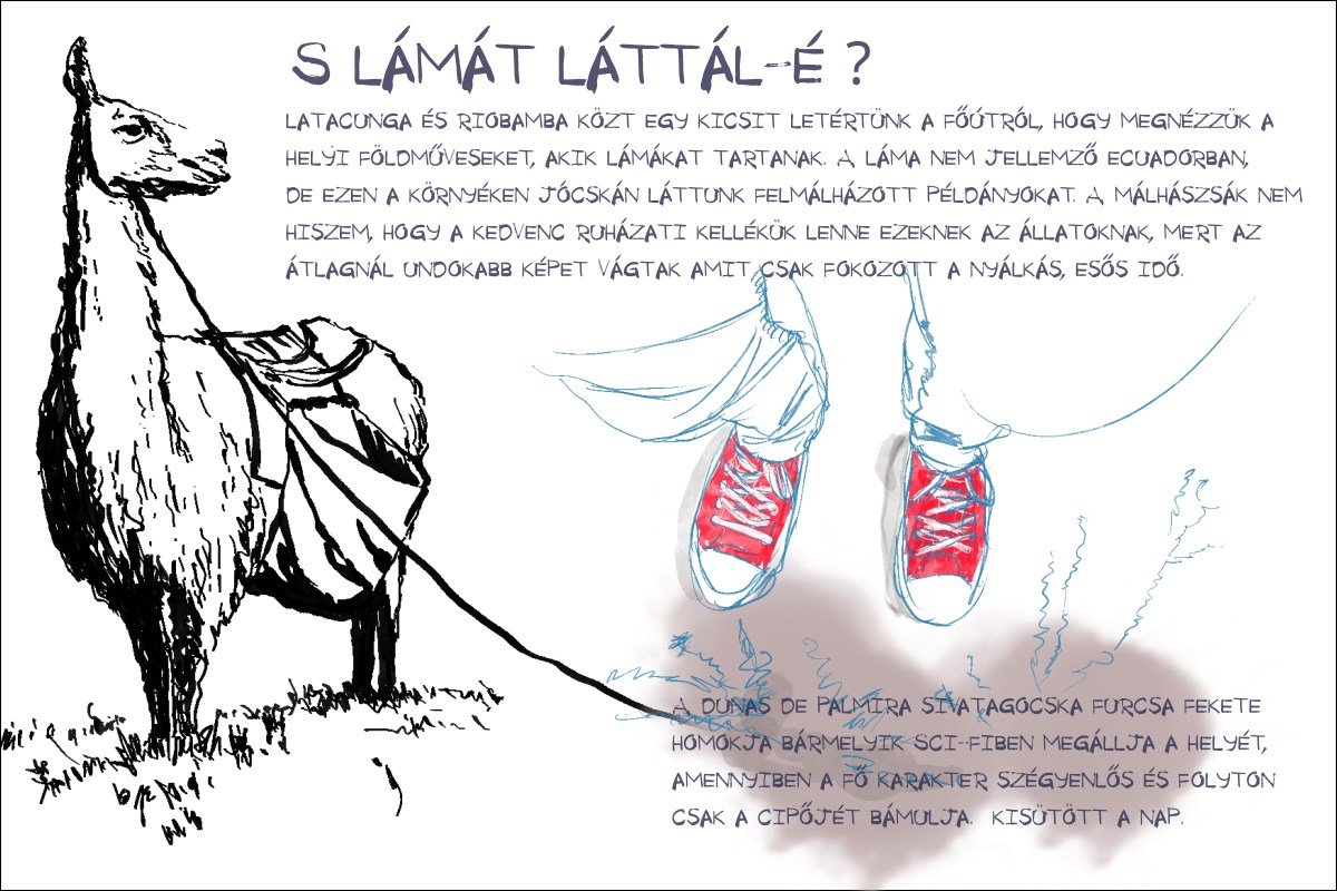 •  Fotó: Széles Ferenc