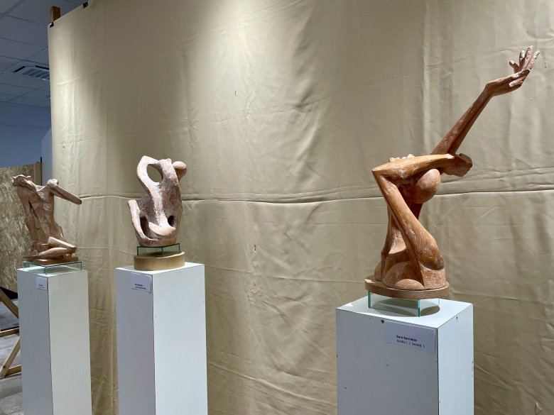 STUDIO 9, Bara Barnabás, Gergely Miklós Csaba, Gergely Zoltán, Ráduly Mária Piroska, Szabó Árpád, Váncsa Mónika, Xantus Géza, kiállítás, képzőművészet, Hargita Megyei Kulturális Központ