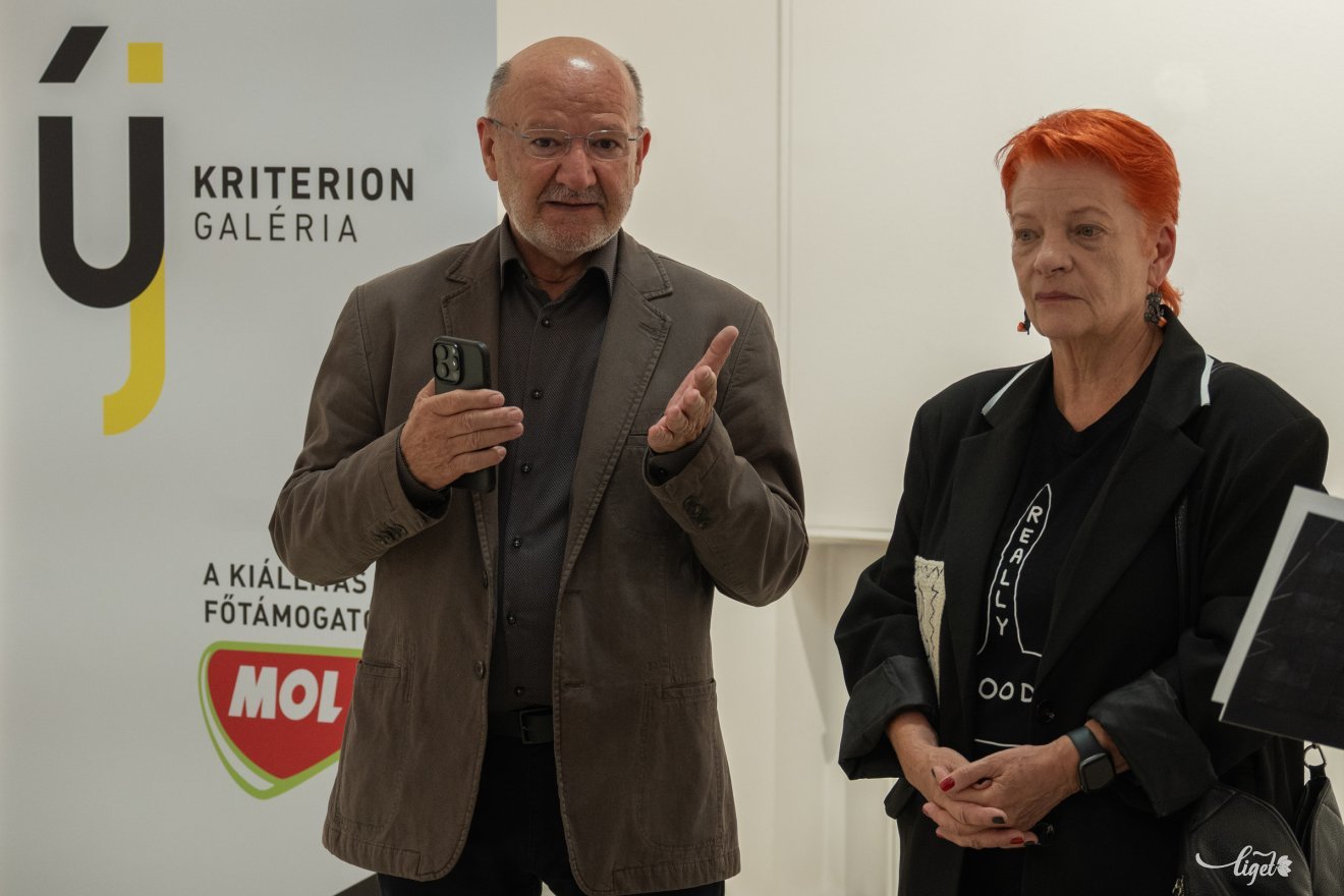 Petru Lucaci, kiállítás