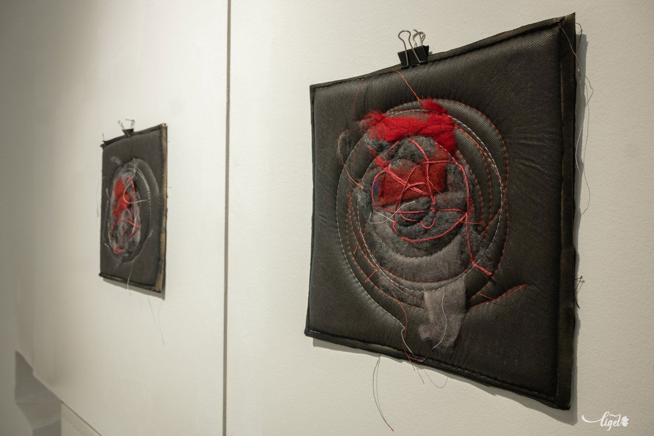 Petru Lucaci, kiállítás