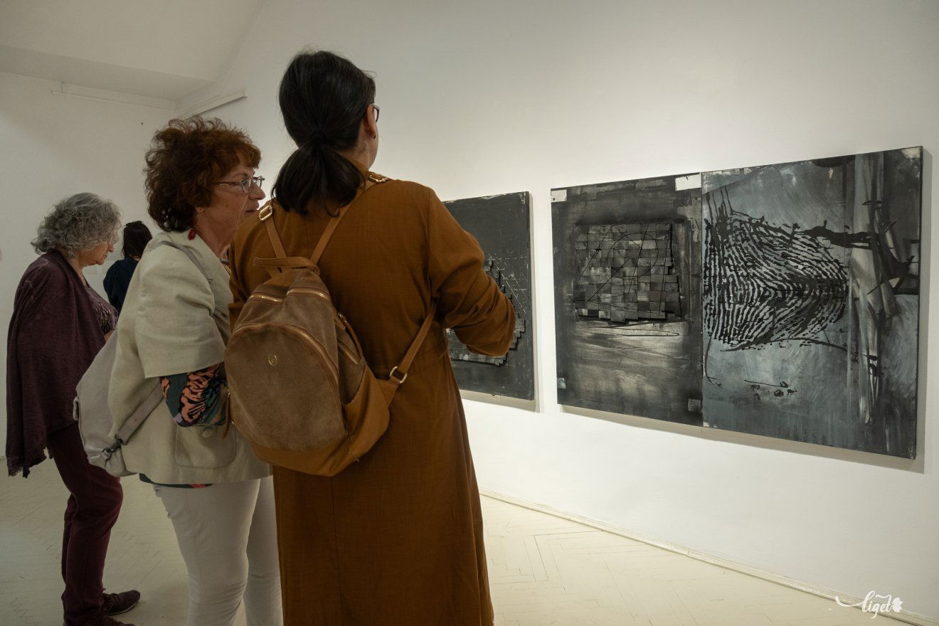 Petru Lucaci, kiállítás