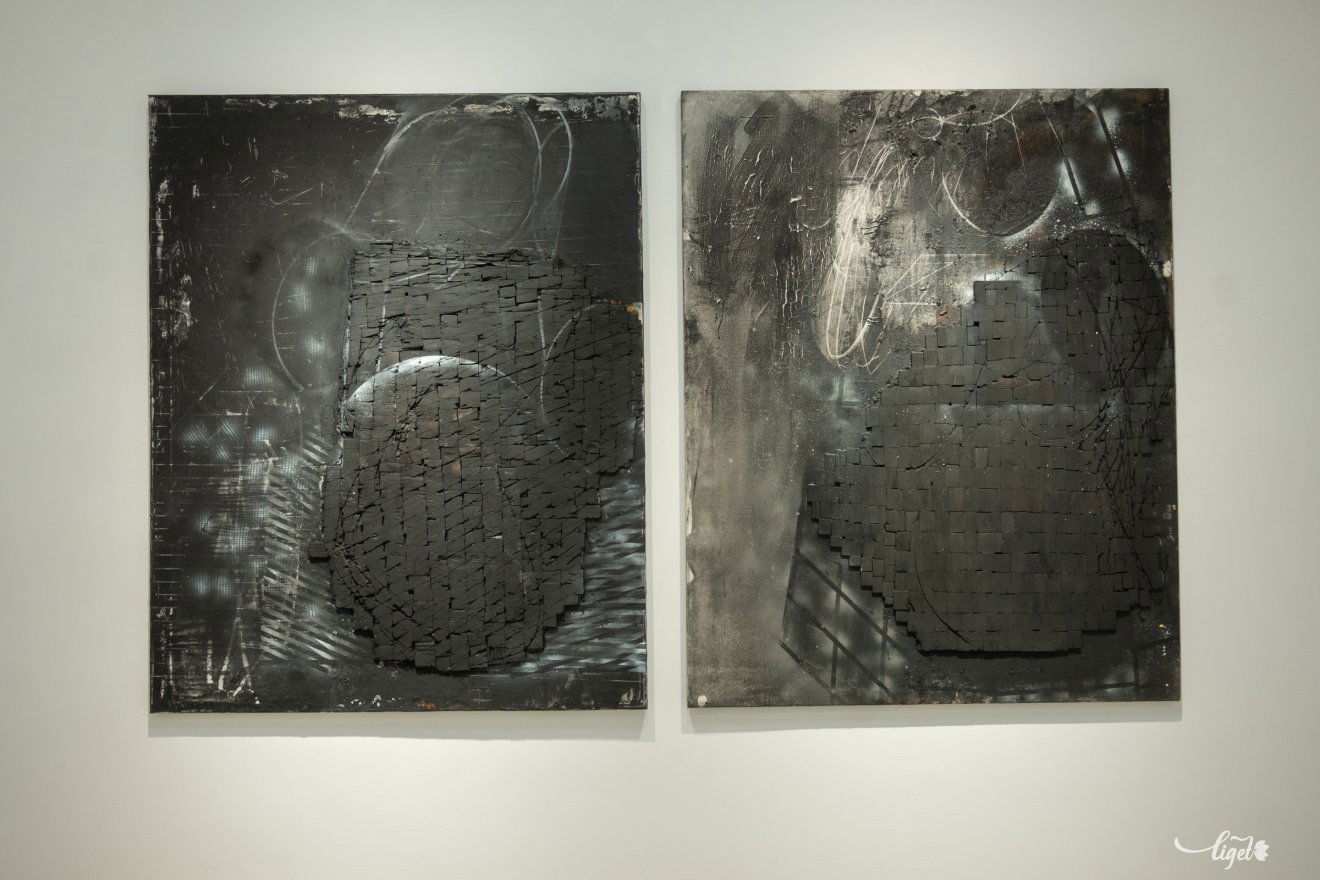 Petru Lucaci, kiállítás