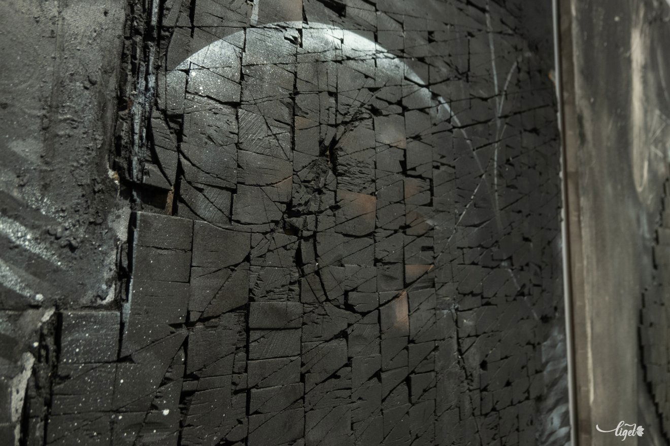 Petru Lucaci, kiállítás