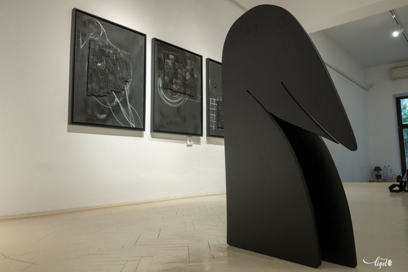 Petru Lucaci, kiállítás