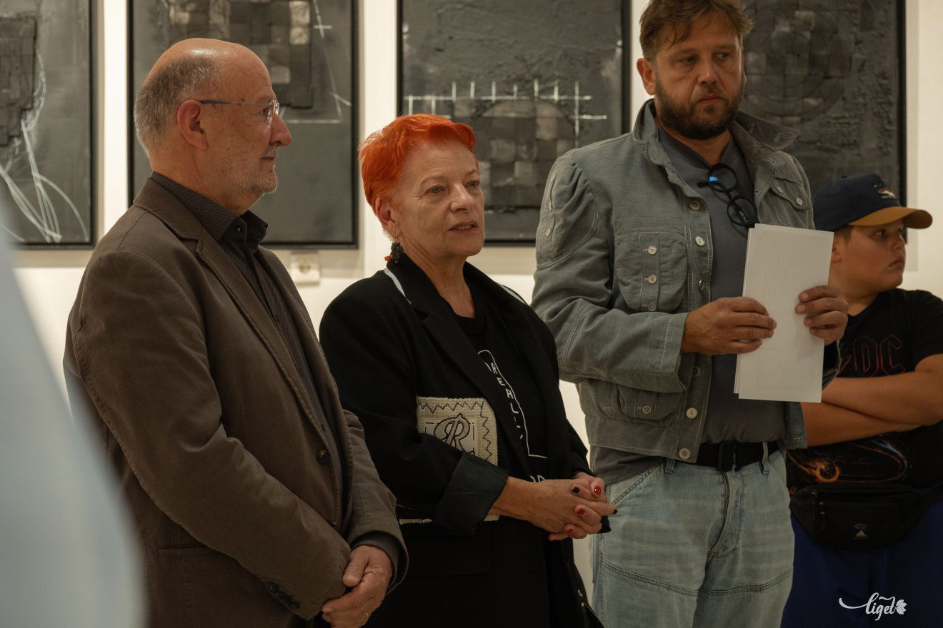 Petru Lucaci, kiállítás