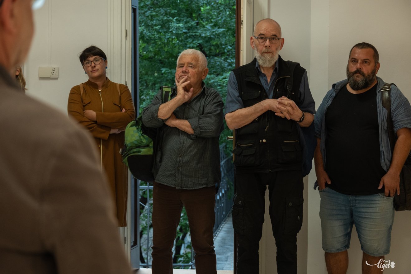 Petru Lucaci, kiállítás