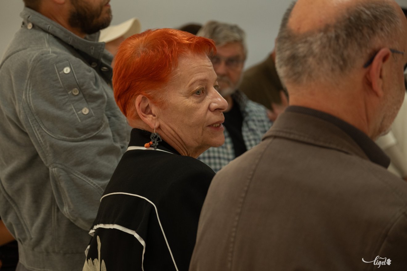 Petru Lucaci, kiállítás