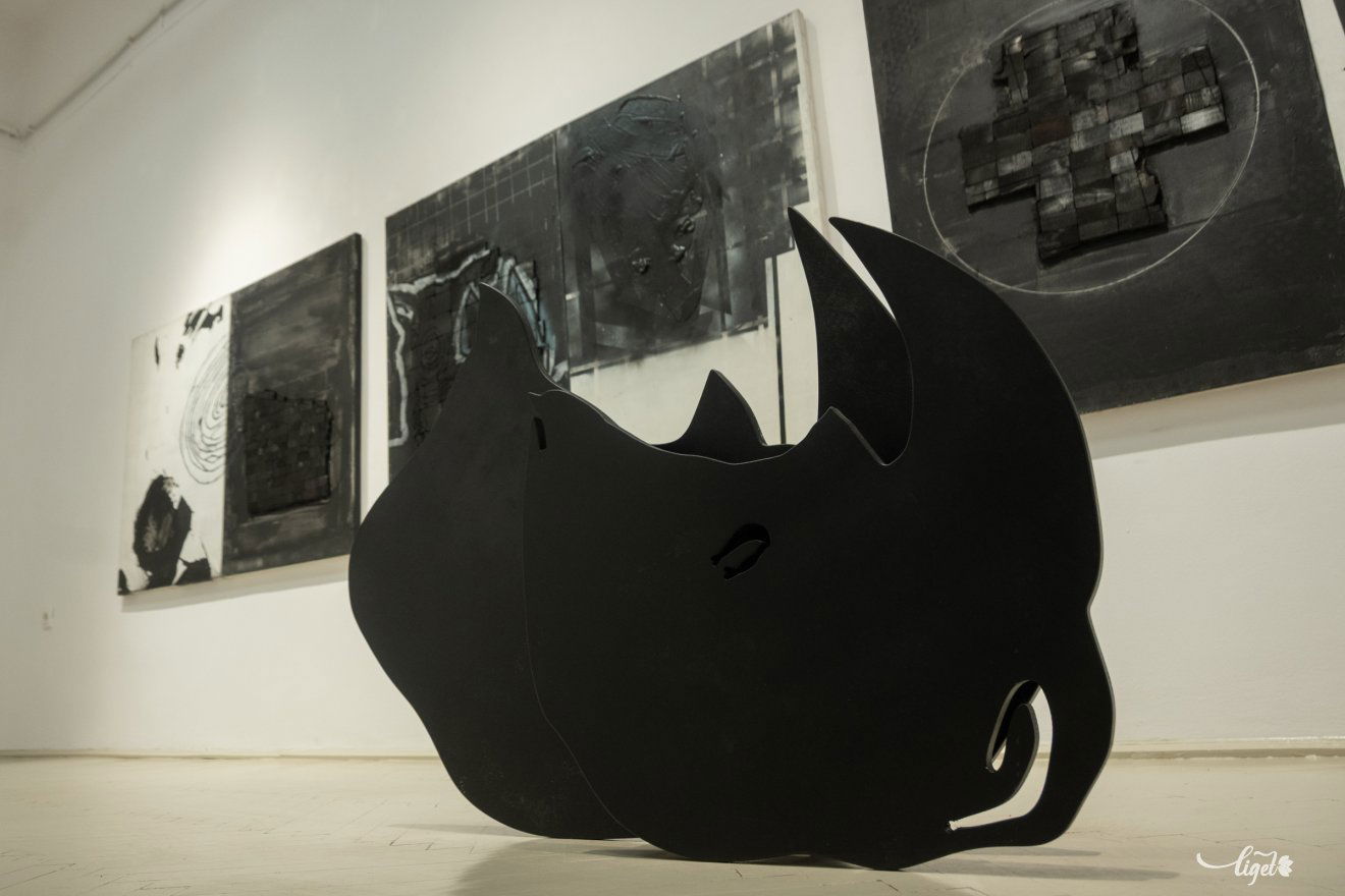 Petru Lucaci, kiállítás