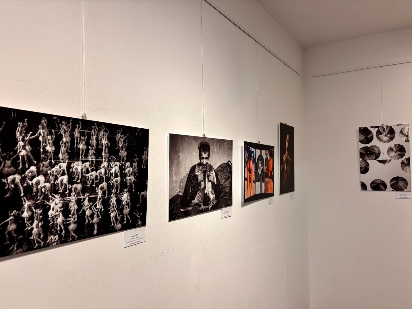 Székely Aladár Fotóklub, Csíki Mozi, Prisma Fotóklub, Labancz István, Bánffy Barnabás, Sarány István, gyulai Székely Aladár Fotóklub