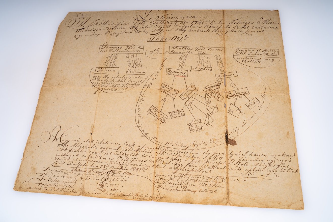 sztori, család, családfa, madéfalvi