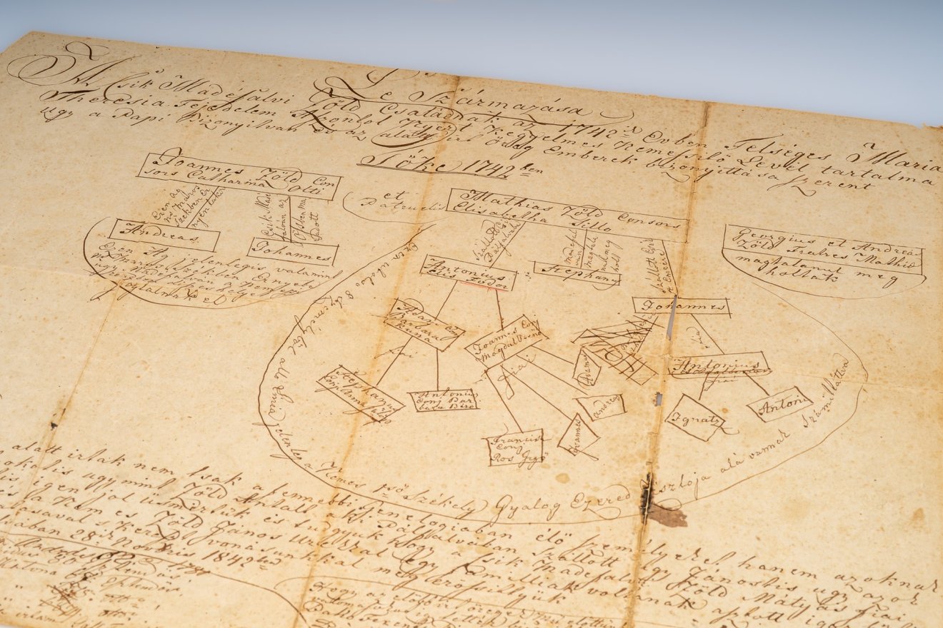 sztori, család, családfa, madéfalvi