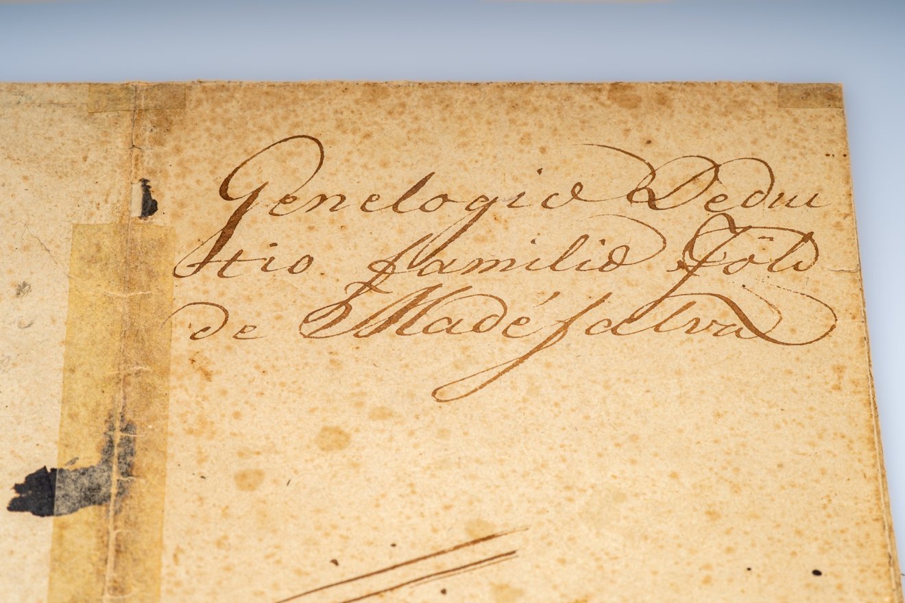 sztori, család, családfa, madéfalvi