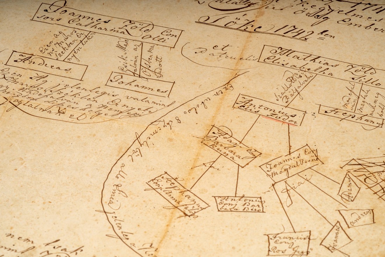 sztori, család, családfa, madéfalvi