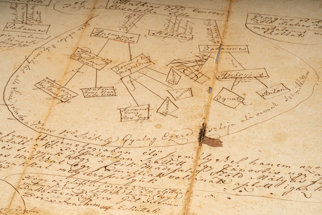 sztori, család, családfa, madéfalvi