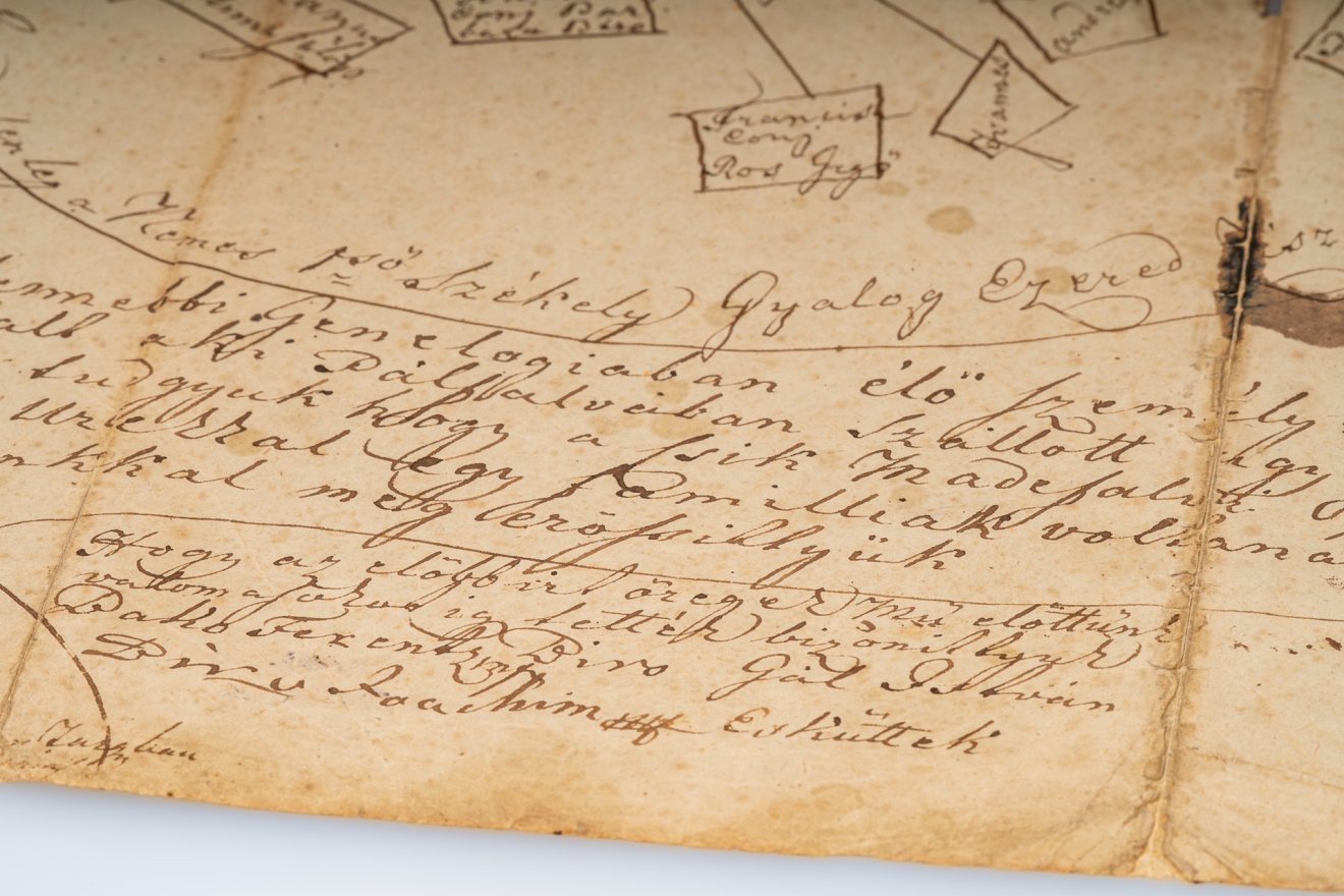 sztori, család, családfa, madéfalvi