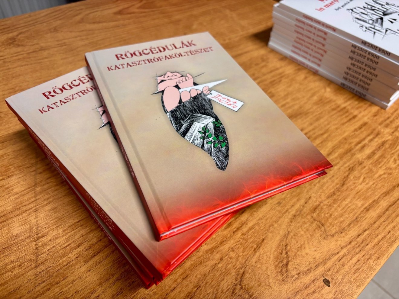 rögcédulák, katasztrófaköltészet, dósa zoltán, Tapodi Zsuzsanna, Tortoma Kiadó, Kájoni János Megyei Könyvtár
