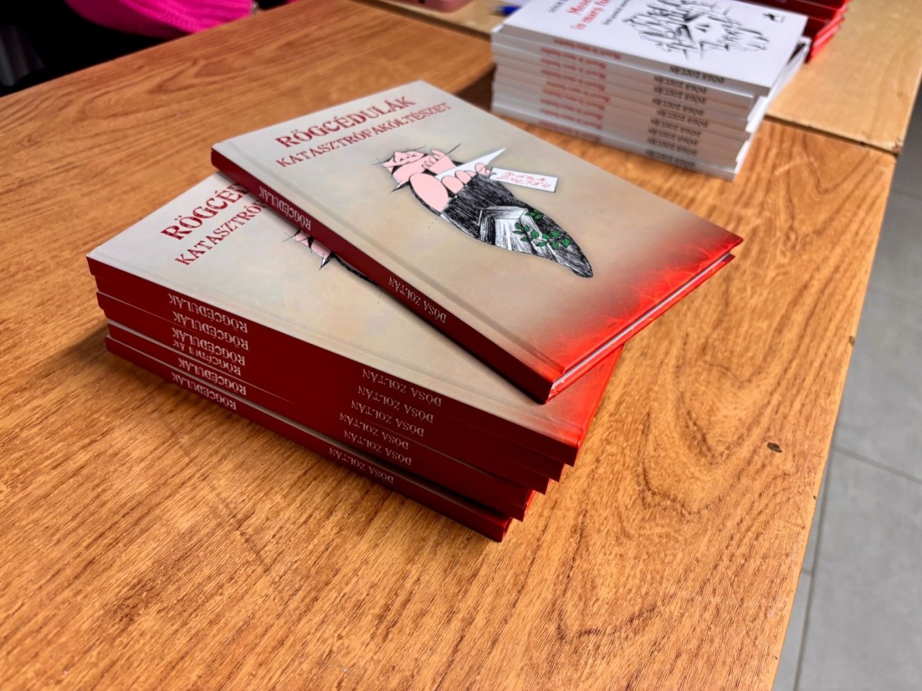 rögcédulák, katasztrófaköltészet, dósa zoltán, Tapodi Zsuzsanna, Tortoma Kiadó, Kájoni János Megyei Könyvtár