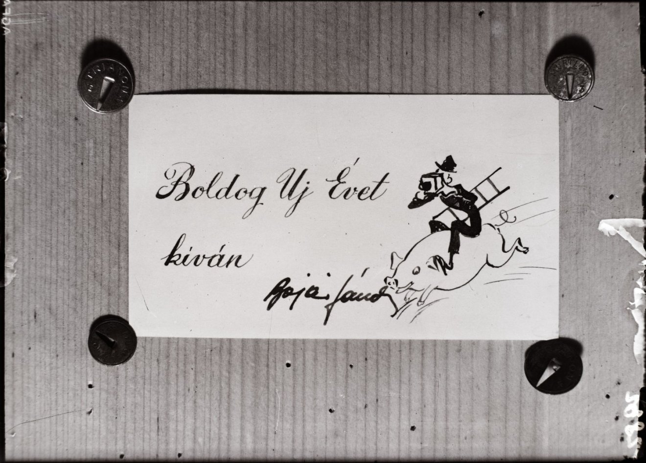 napló, Petőfi, Jókai, Arany, Széchenyi, 19. század