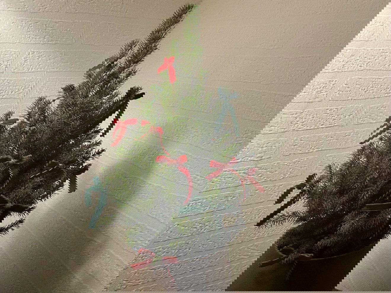 A kevesebb néha több: masnikat a fára &bullet;  Fotó: Nagy Lilla