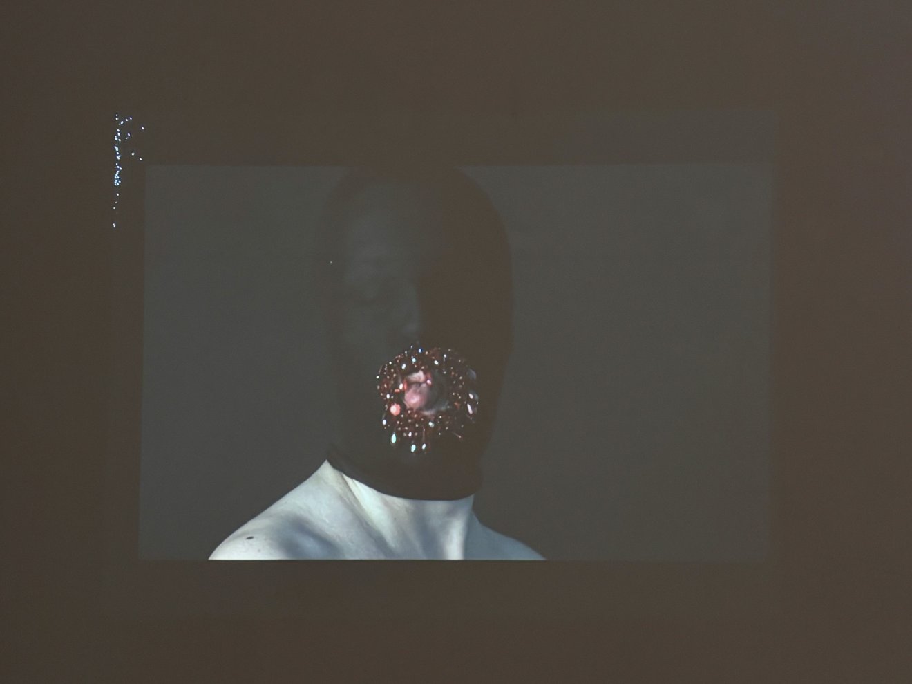 vér, Magdalena Pelmuș, Gendered Blood, fegyver, Törékeny anatómia, Új Kriterion Galéria