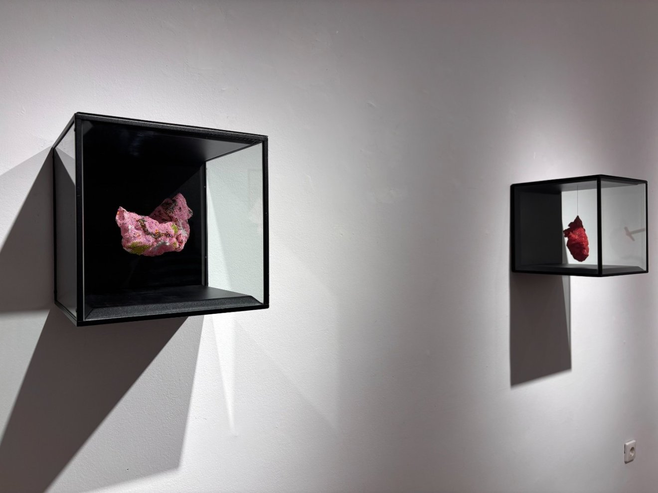 vér, Magdalena Pelmuș, Gendered Blood, fegyver, Törékeny anatómia, Új Kriterion Galéria