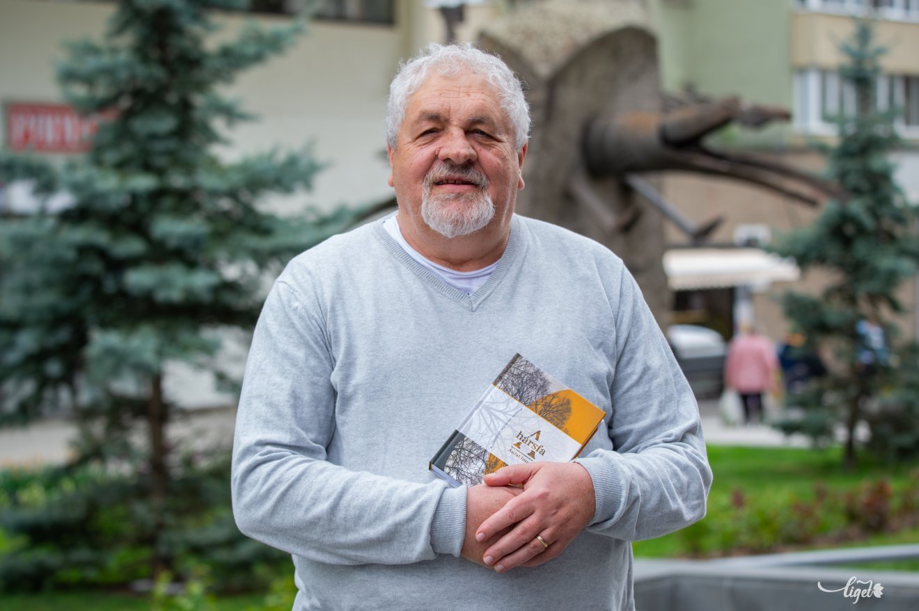 Hársfa, Antal Imre, regény, irodalom, Csíksomlyó, kegyszobor, Hargita