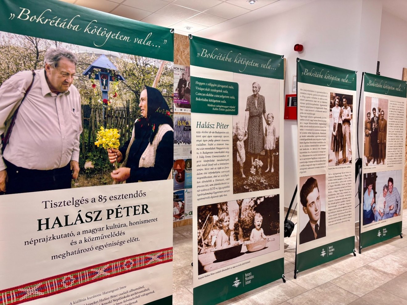 Halász Péter, kiállításmegnyitó, életmű, Domokos Pál Péter, Harangozó Imre, „Bokrétába kötögetem vala…”