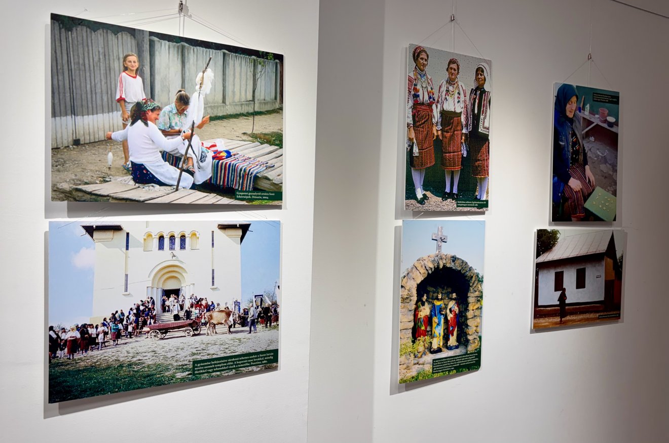 Halász Péter, kiállításmegnyitó, életmű, Domokos Pál Péter, Harangozó Imre, „Bokrétába kötögetem vala…”