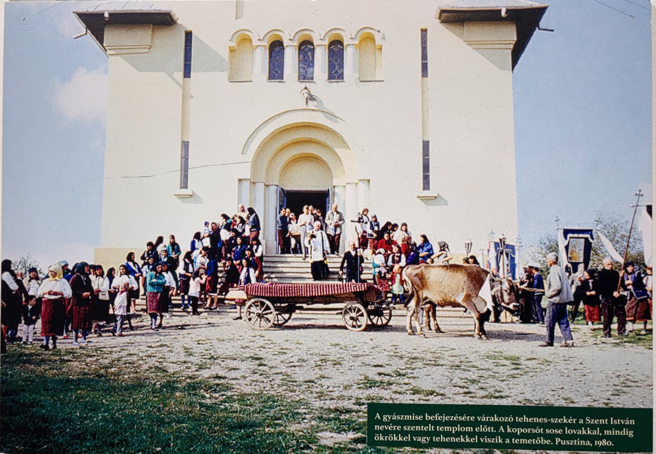 Halász Péter, kiállításmegnyitó, életmű, Domokos Pál Péter, Harangozó Imre, „Bokrétába kötögetem vala…”