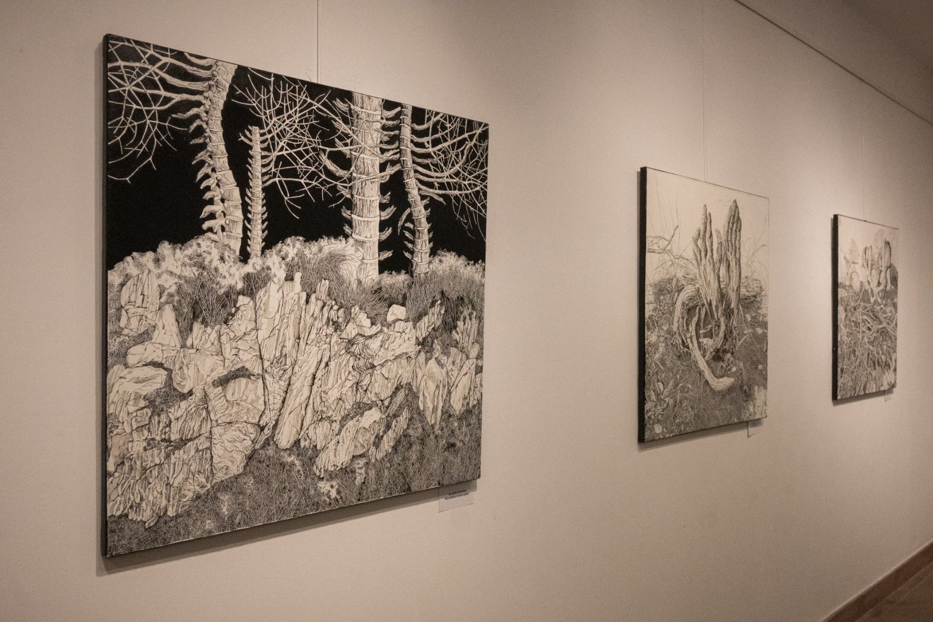 Sárosi Mátyás Zsolt, kiállítás, Csíki mozi, tusrajzok, természet, Hargita Megyei Kulturális Központ