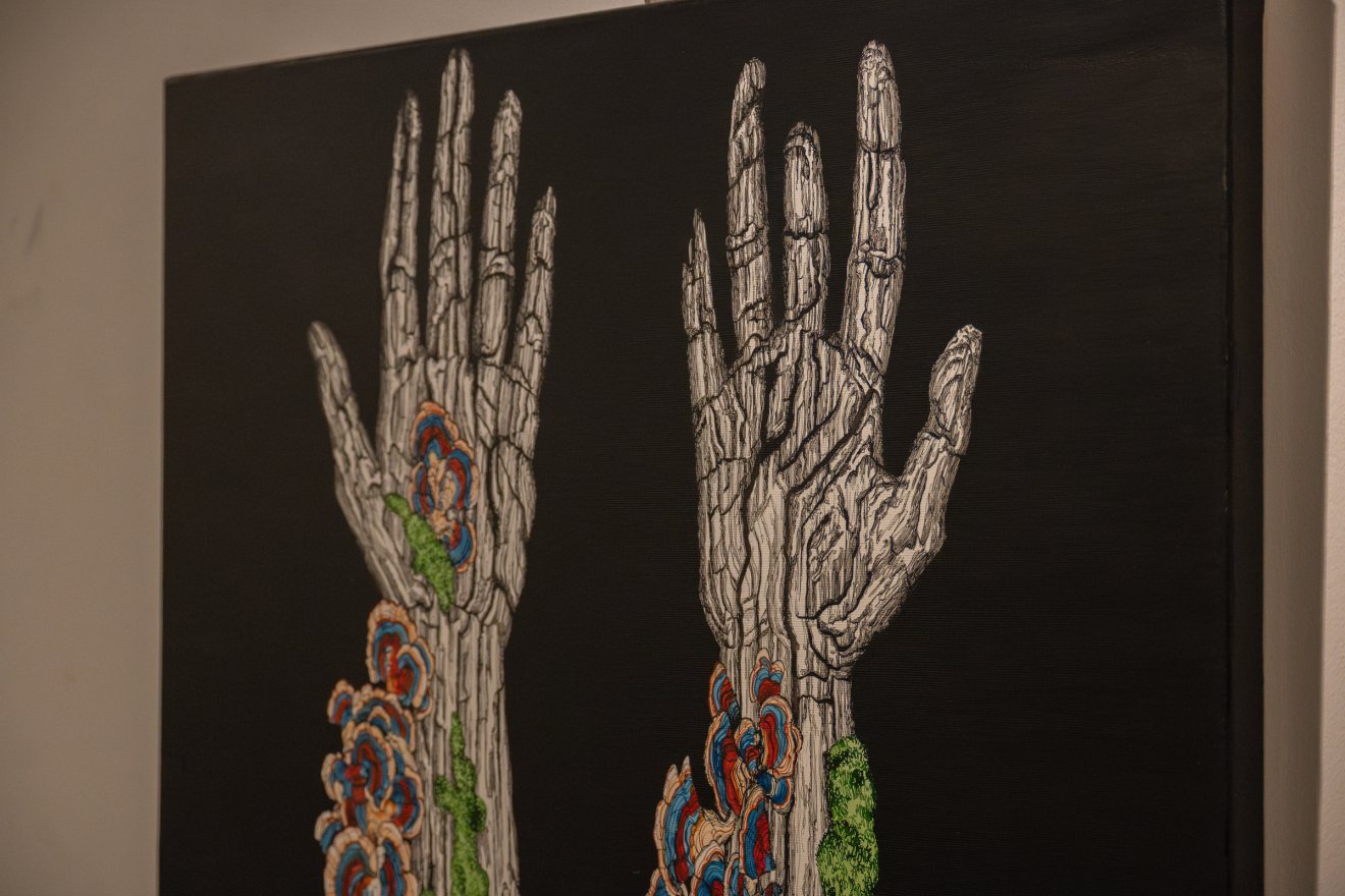 Sárosi Mátyás Zsolt, kiállítás, Csíki mozi, tusrajzok, természet, Hargita Megyei Kulturális Központ