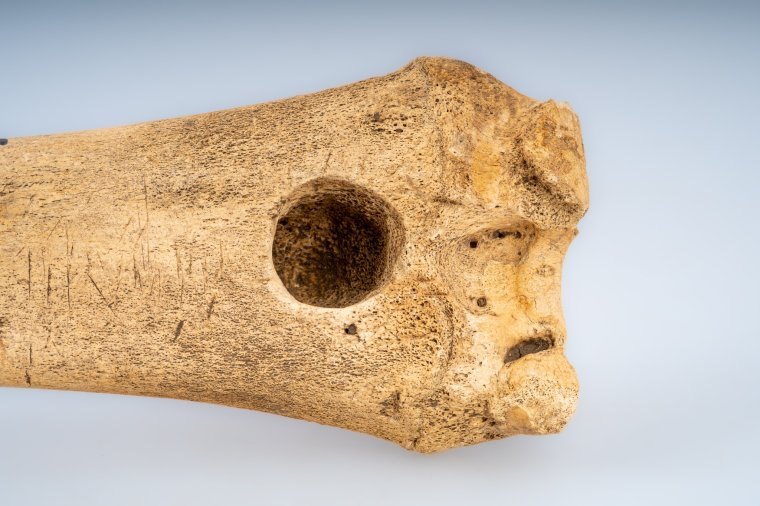 Múzeumi sztorik: szánkózás régi időkben