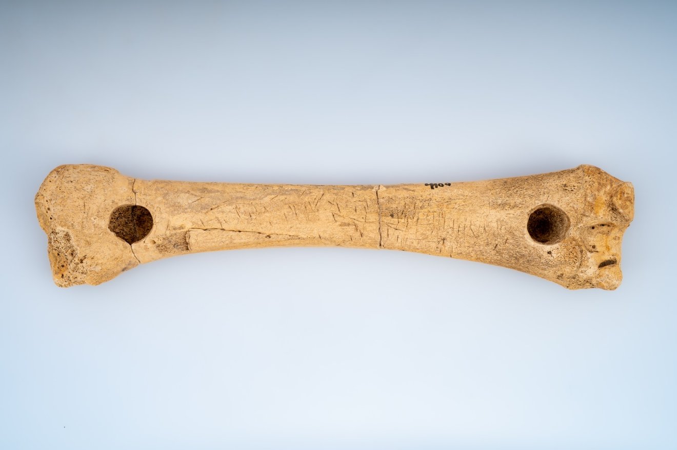 szánkózás, történet, sztori, múzeum, régészet