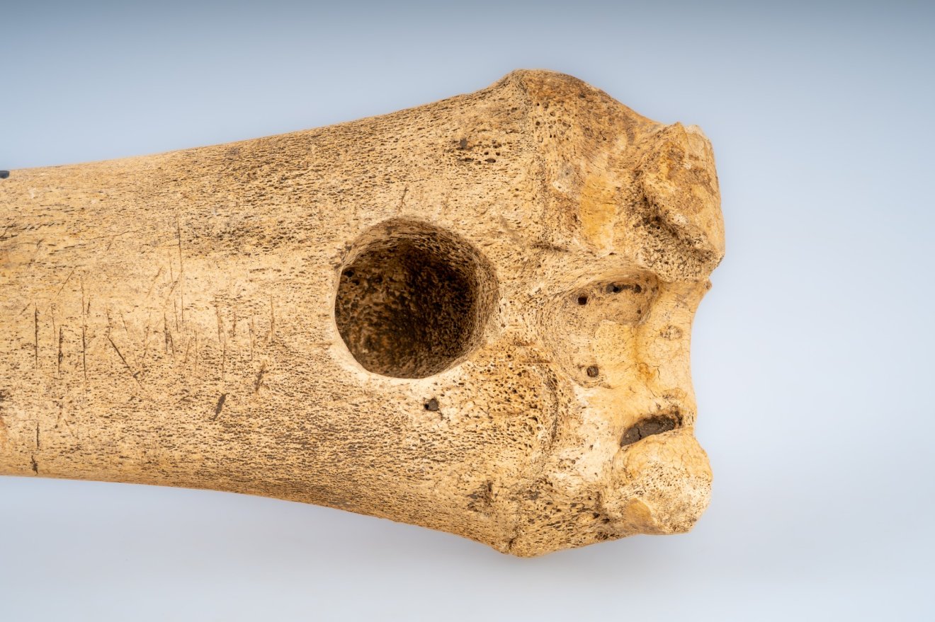 szánkózás, történet, sztori, múzeum, régészet