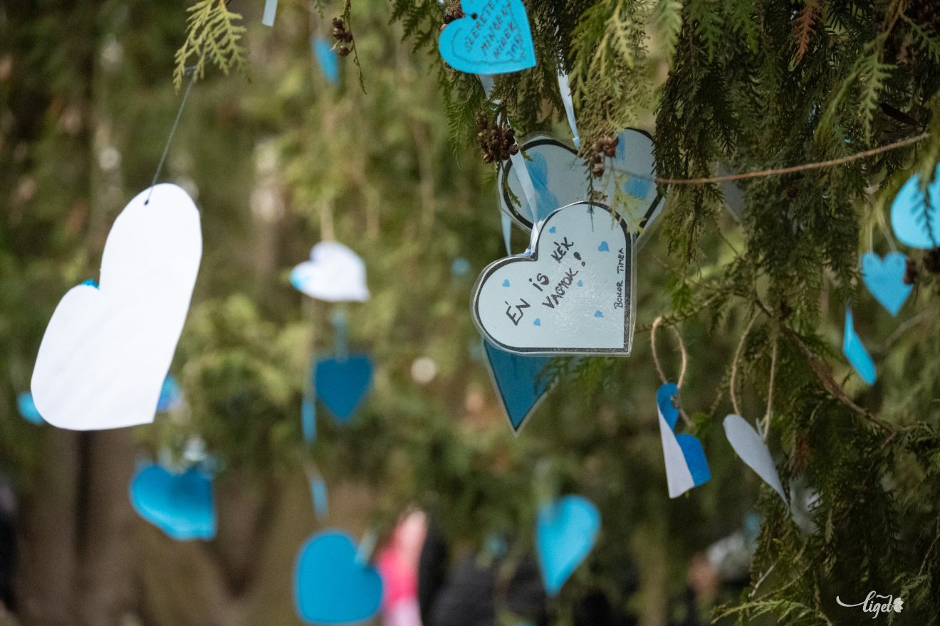 Autizmus Világnapján, kék szívek, április 2, autizmus, központi park, Játékos Univerzum Egyesület