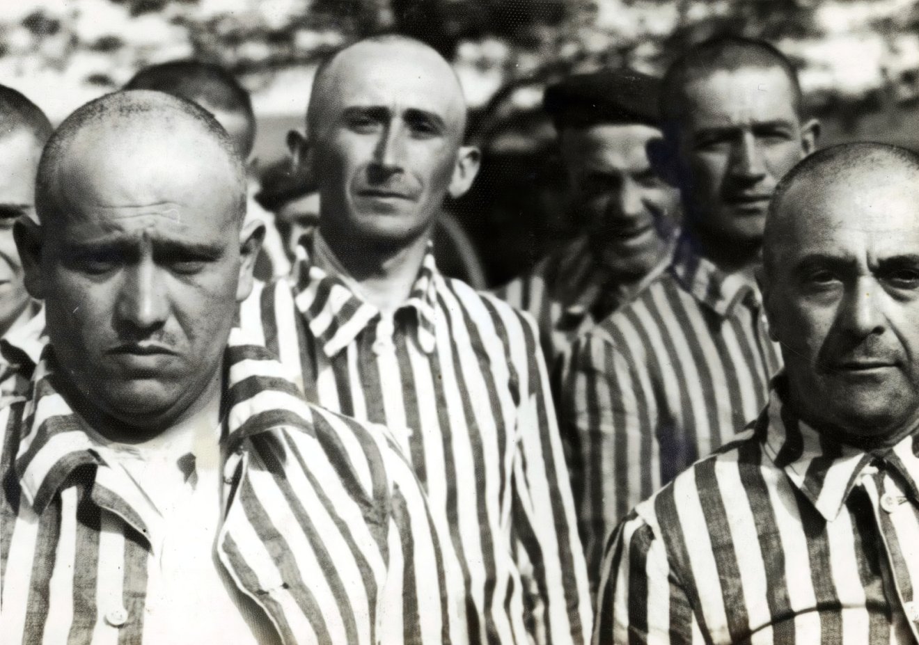 holokauszt, Kertész Imre, Radnóti Miklós, Szép Ernő, Szabó István, holokauszt magyar áldozatainak emléknapja