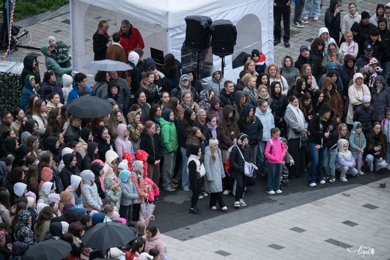tánc, táncünnep, Szabadság tér, unesco, hip-hop, tánc világnapja