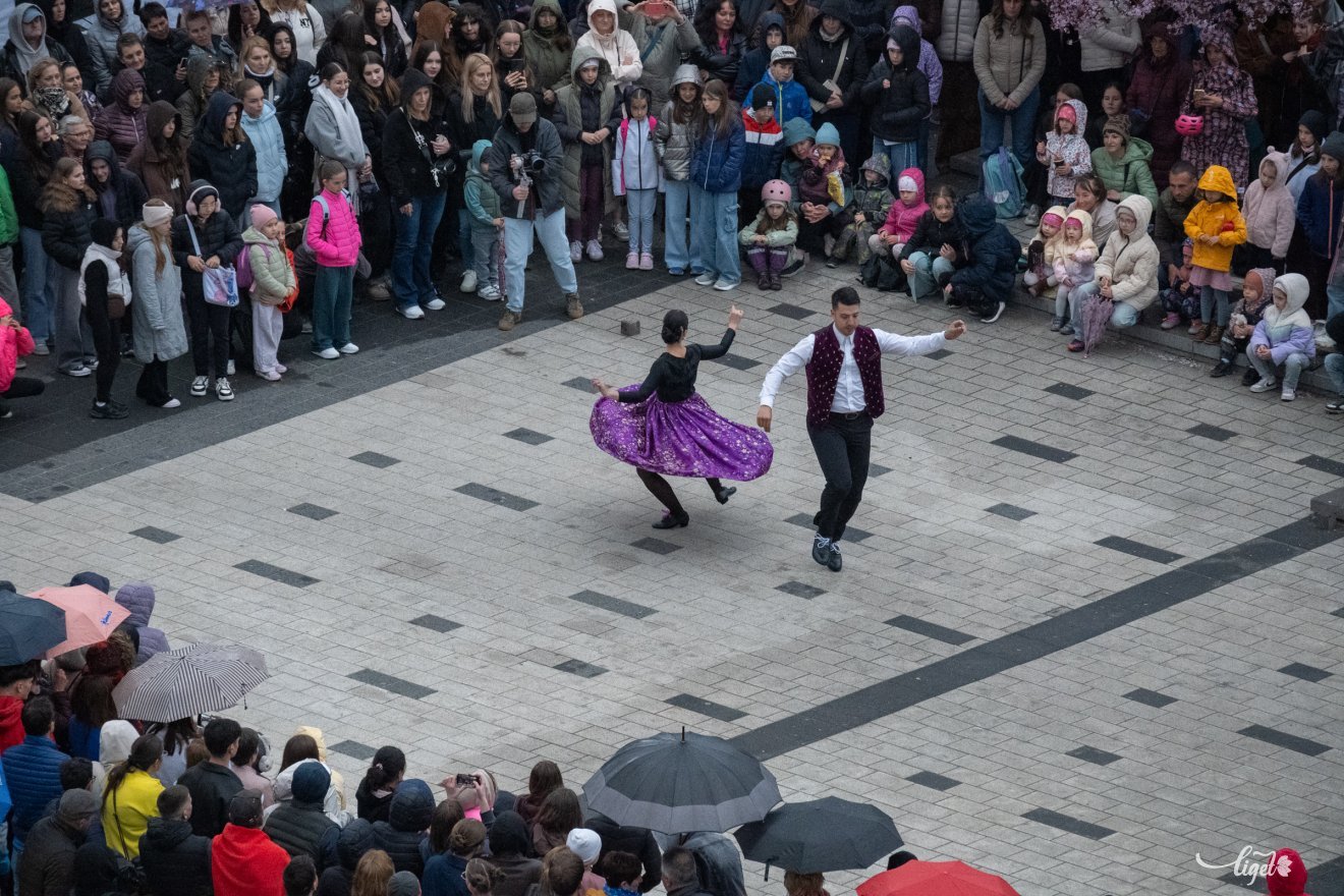tánc, táncünnep, Szabadság tér, unesco, hip-hop, tánc világnapja