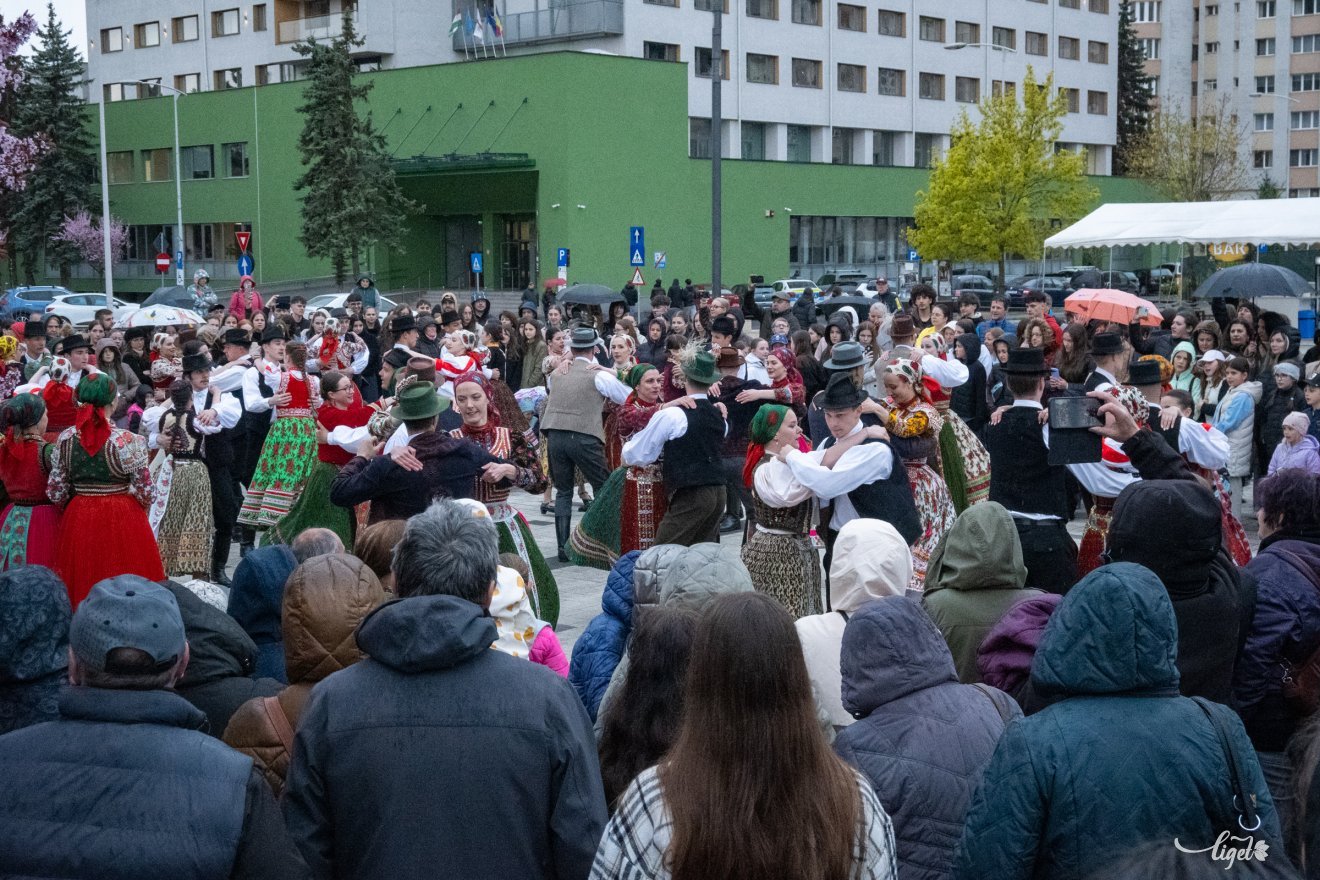 tánc, táncünnep, Szabadság tér, unesco, hip-hop, tánc világnapja