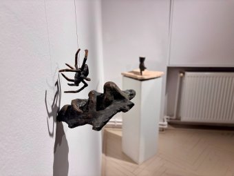 A megítélés súlya – Veress Gábor Hunor kettős mércéje