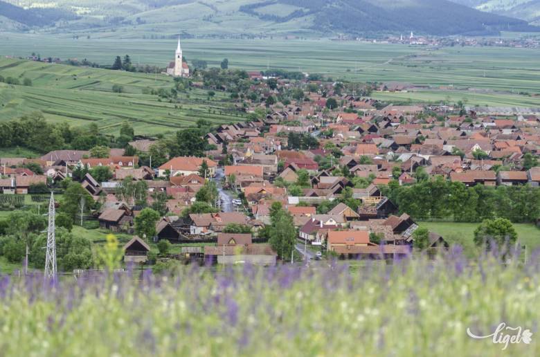 Csíkrákos, Fodor Csaba szülőfaluja •  Fotó: Veres Nándor