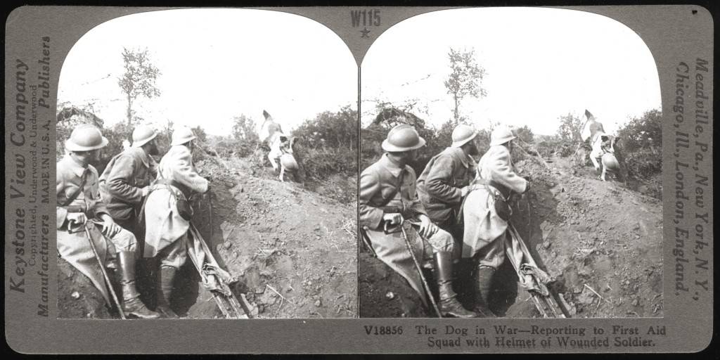 Sztereofotó – ilyen képpárból áll össze különböző módszerekkel a térhatású kép 