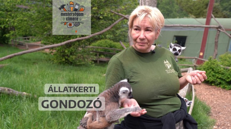 Nem veszélytelen az állatkerti gondozó élete | Mesterségem címere