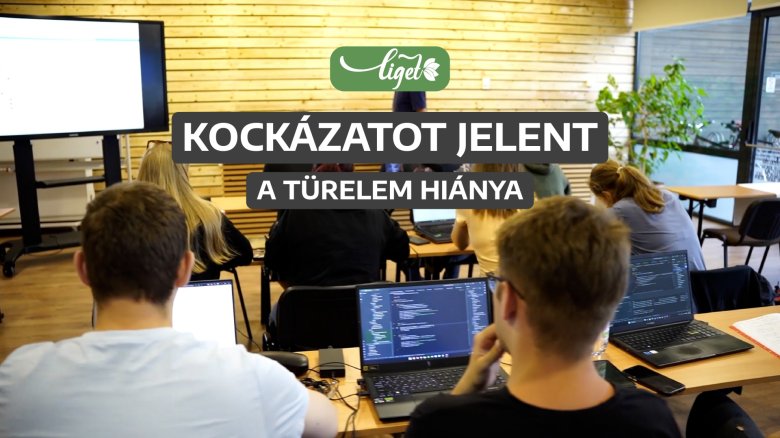Z generáció: laptop, net, ötlet, és kész is a vállalkozás?