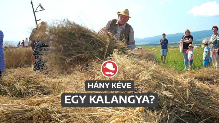 Kévekötés előzte meg a tűzoltást