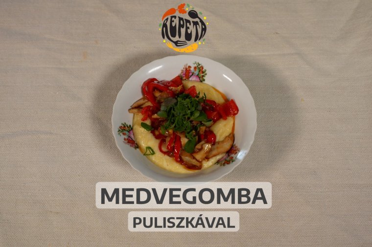 Medvegomba puliszkával – videó