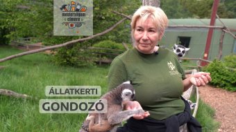 Nem veszélytelen az állatkerti gondozó élete | Mesterségem címere