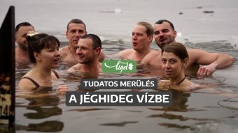 Miért vállalja valaki önként a dermesztő hideget, a jeges merülést? – videó