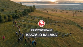 Amit a kasza levágott, a gereblye ne hagyja ott – videó