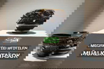 A művészi szabadság és a spontán formálódó esztétikum egyesül Máthé Lóránt-Pál alkotásaiban – videó